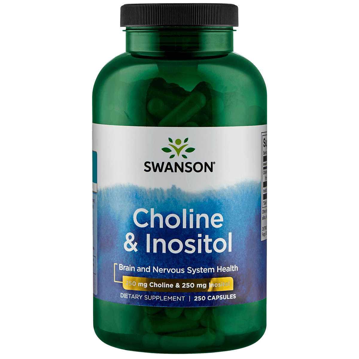 Afbeelding van Choline en Inositol 250-250 mg