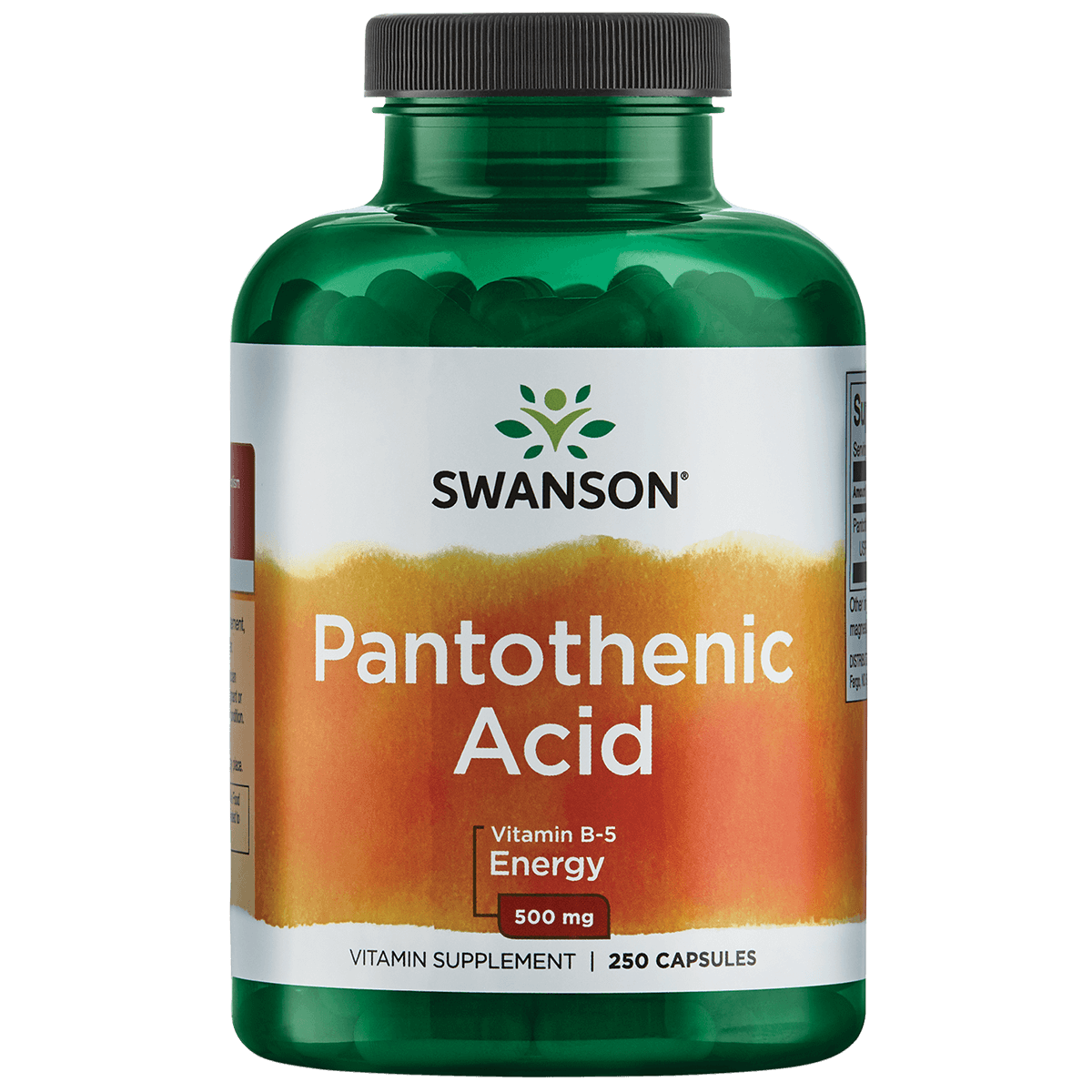 Pantothenic Acid 500mg | Swanson | 250 stuks