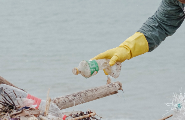 Person pickup plastic bottle from ocean