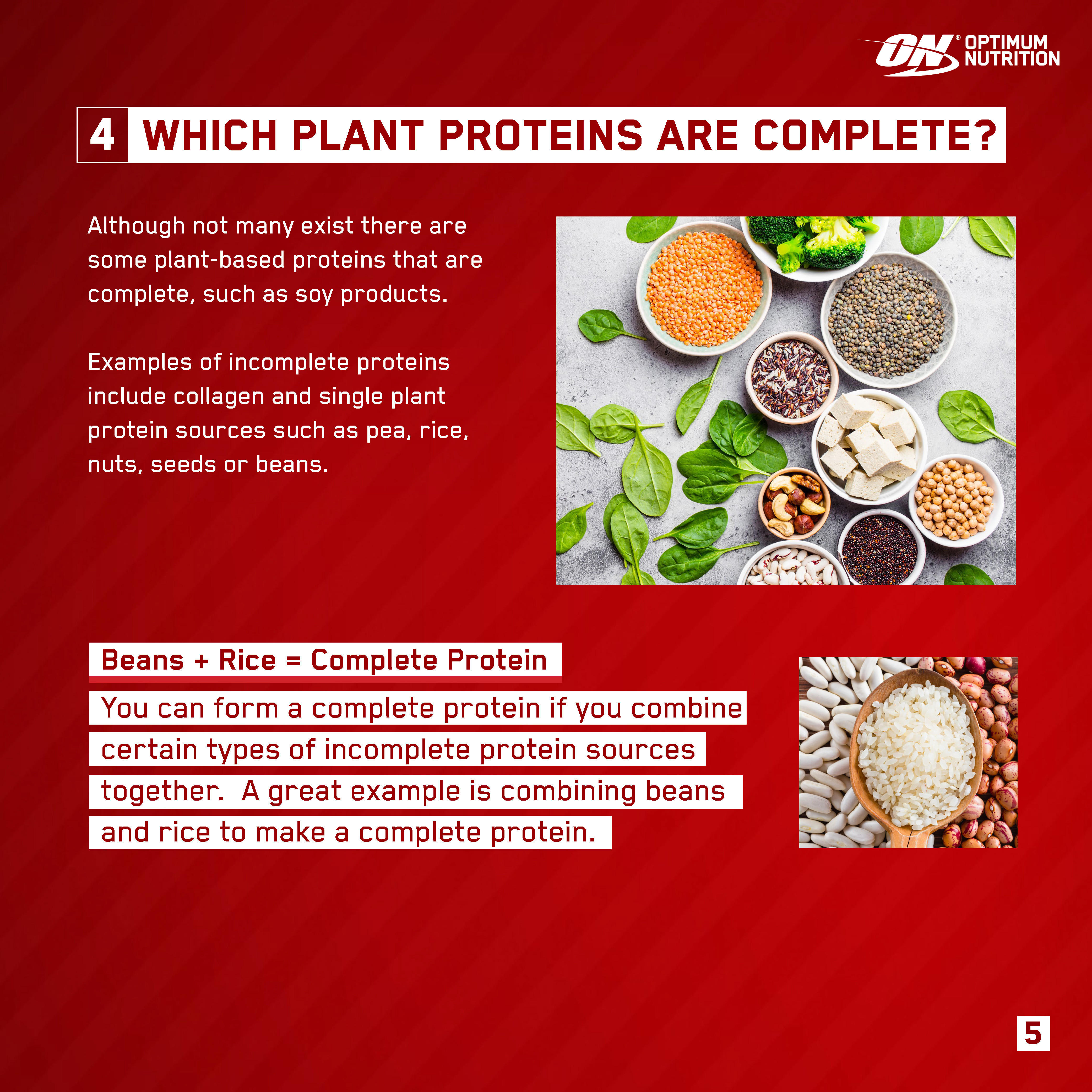 All you need to know about protein Optimum Nutrition AU Site