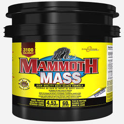 マンモス 2500 Body Fit