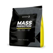MASS PERFECTION WEIGHT GAINER